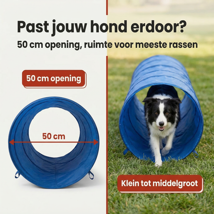Cheqo® Hondentunnel - Agility Tunnel Hond - Agility Tunnel - Hond Agility Tunnel - Agility voor de Hond - Honden Agility - Behendigheid Hond - Hondentraining Tunnel - Trainingstunnel Hond - Agility Hindernis Hond