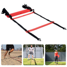 Cheqo® Agility Ladder Pro - Loopladder - Speedladder - Speed Ladder - Fitness Ladder - 11 Sporten - Verstelbaar - Voetbal - 450 cm - Inclusief Draagtas Loopladder
