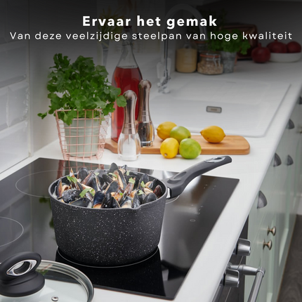 Cheqo® Steelpan met Deksel - Alle Warmtebronnen - Ook voor Inductie - Kookpan - Gesmeed Aluminium - 18cm Steelpan
