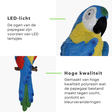 Cheqo® Papegaai met Licht - Wandlamp - Papegaai Decoratie - 37cm Hoog - 12cm Breed - 2 LED's - Polyresin Wandlamp