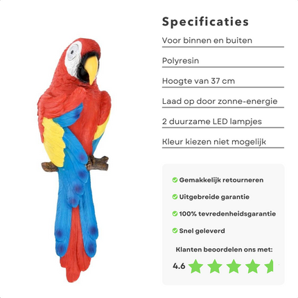 Cheqo® Papegaai met Licht - Wandlamp - Papegaai Decoratie - 37cm Hoog - 12cm Breed - 2 LED's - Polyresin Wandlamp