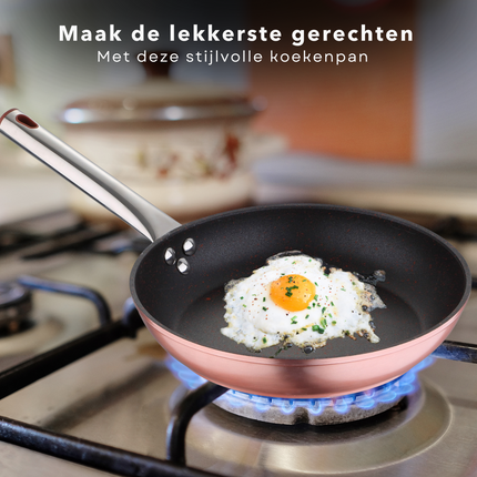 Cheqo® Koekenpan - Bakpan - Ø24 cm - Champagne - Hoogwaardig Aluminium - RVS Handgreep - Marmeren Deklaag - PFOA-Vrij - Lood-Vrij - Alle Warmtebronnen - Ook voor Inductie Koekenpan