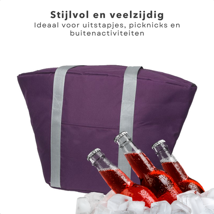Cheqo® Geïsoleerde Koeltas - 22,3 liter - Paars - Isolerend - Thermische Binnenkant - Dubbel Handvat - Rits - 18,5 x 18 cm - Verstevigde Bodem - Voor Picknick & Boodschappen Koeltas