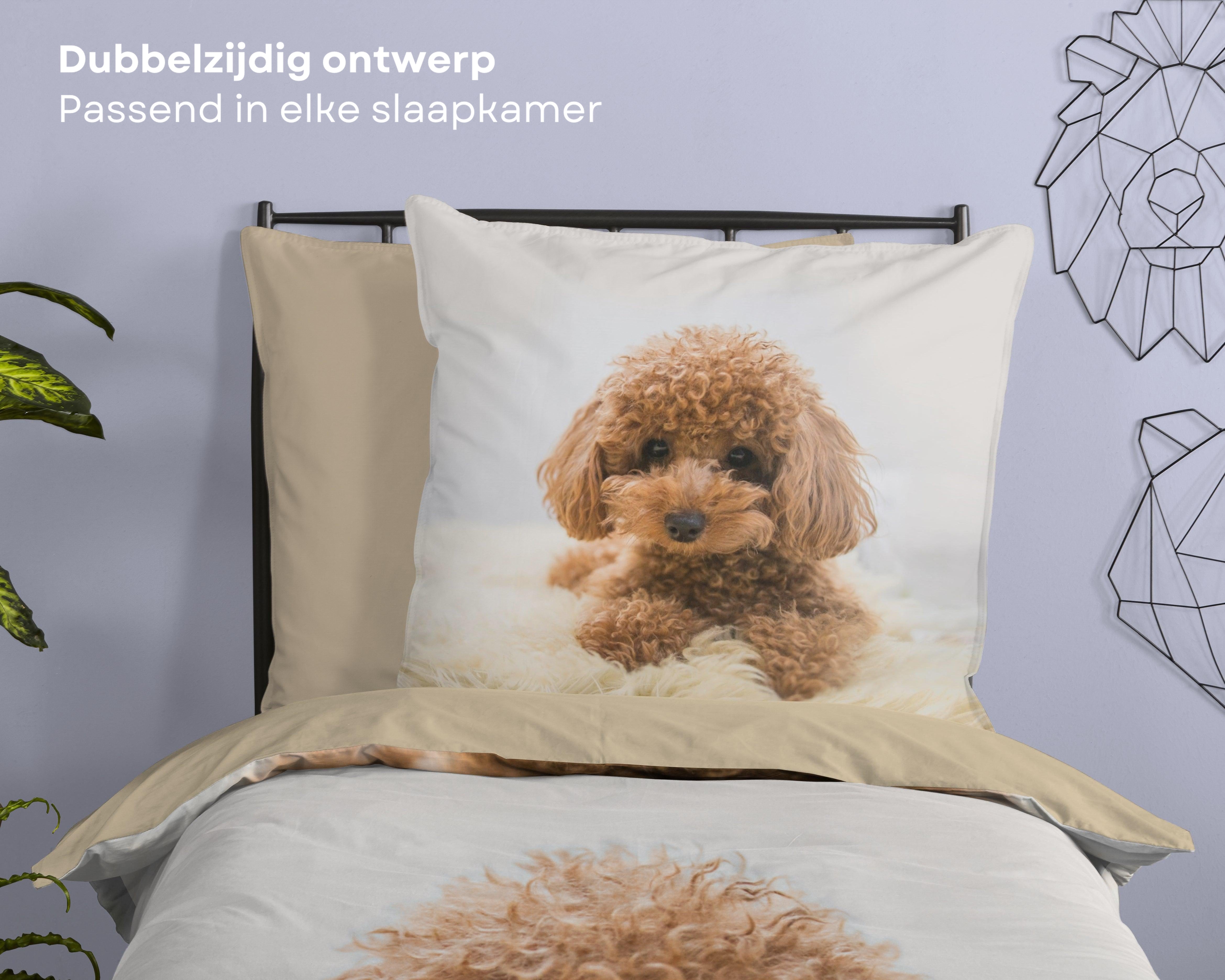 Dekbedovertrek 200 x 200 cm, dierenchihuahua, beddengoedset voor Dekbedovertrek 200 x 200 cm, dierenchihuahua, beddengoedset voor