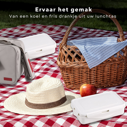 Cheqo® Complete Lunchtas - Picknicktas - Picknickset - Picknickmand - Koelbox - Grijs-  2 Lunchboxen - Tray - 2 Katoenen Servetten - Met Draagriem & Handvat Koelbox